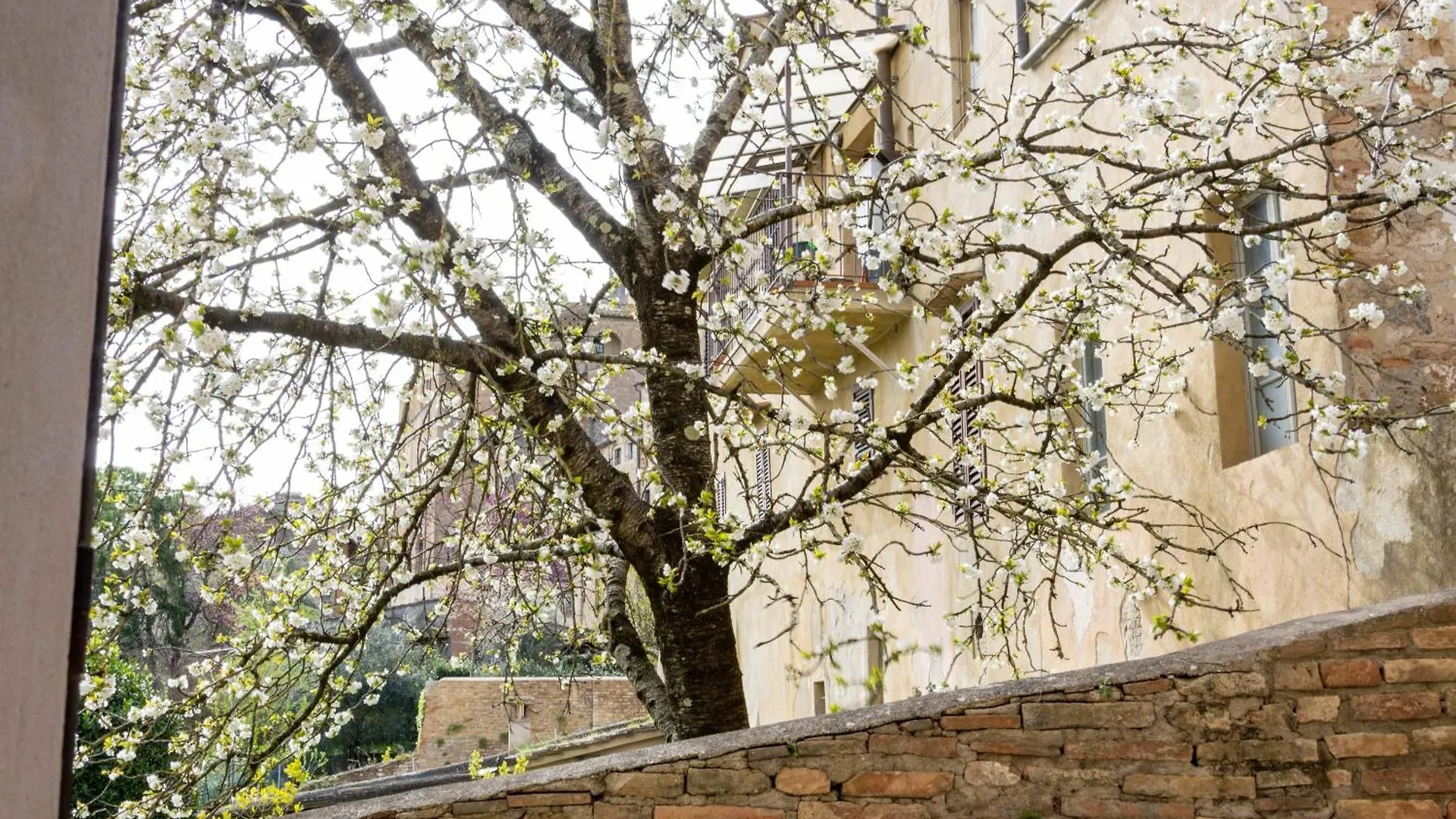 La Casa Di Filippo Apartment San Gimignano 0*,